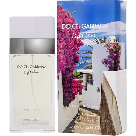 Dolce and Gabbana Light Blue Review (2024) 